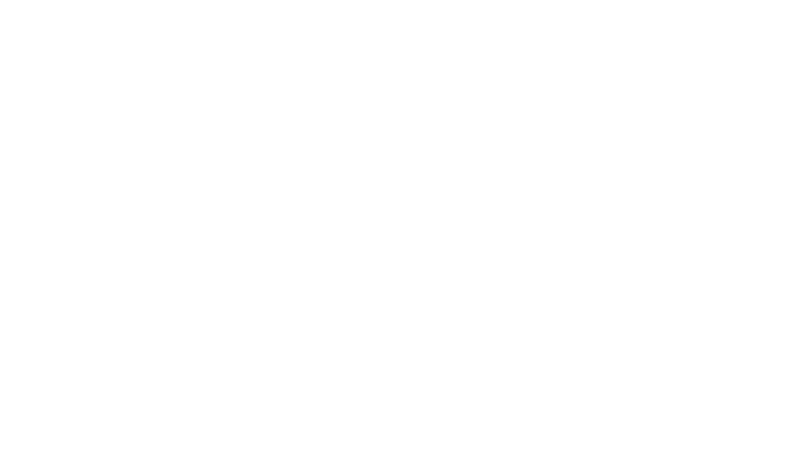 Black Forest Camper