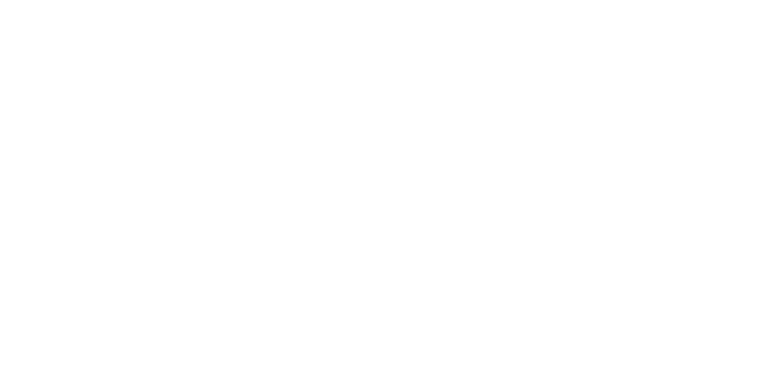 Black Forest Camper
